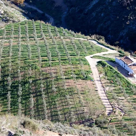 Cortijo El Rancho